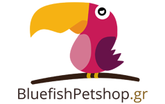 blue fish pet shop